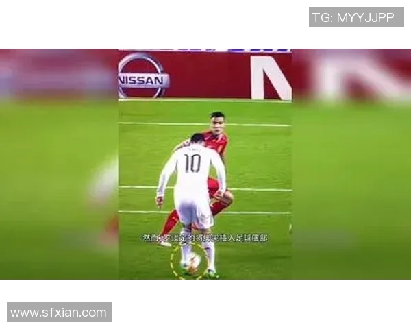 恒丰与上港球迷激情对决共同见证足球魅力与团队精神的碰撞