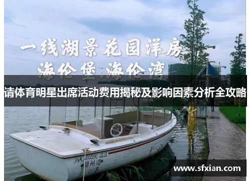 请体育明星出席活动费用揭秘及影响因素分析全攻略
